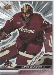 2023-24 Upper Deck Series 2 Silver Outburst Karel Vejmelka #263